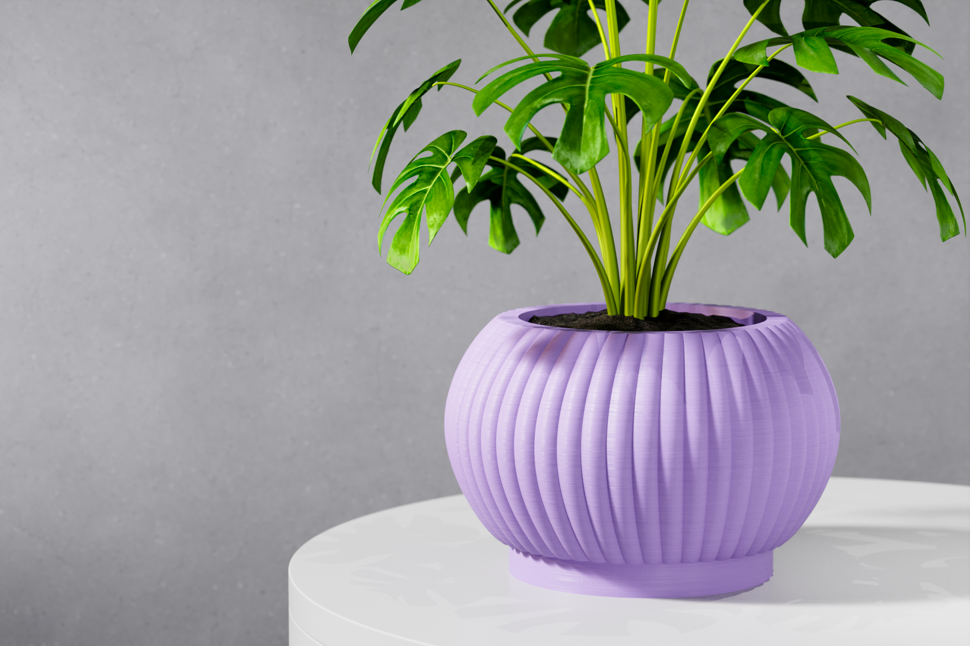 The Roni Planter