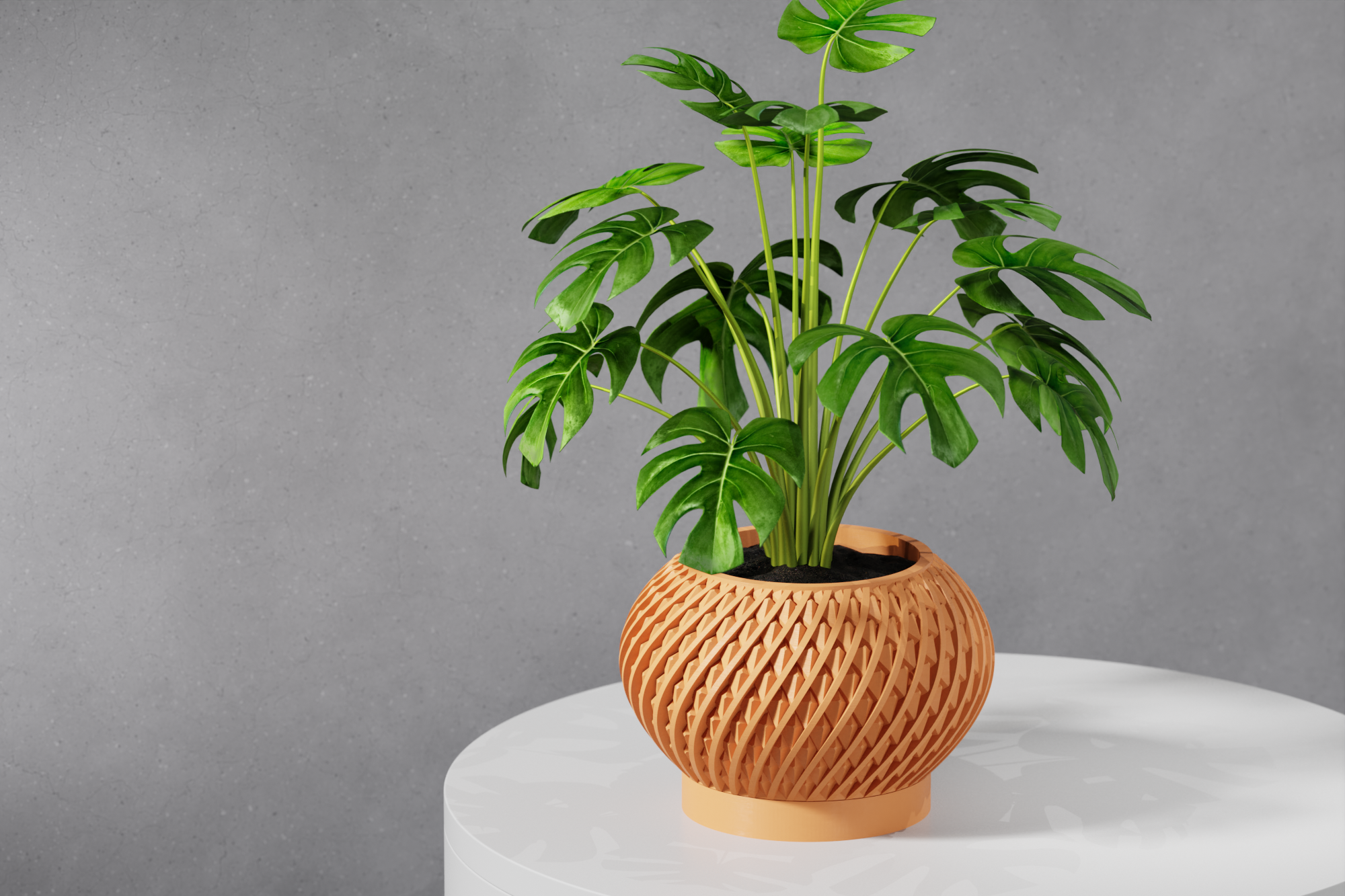 Le Kio Planter
