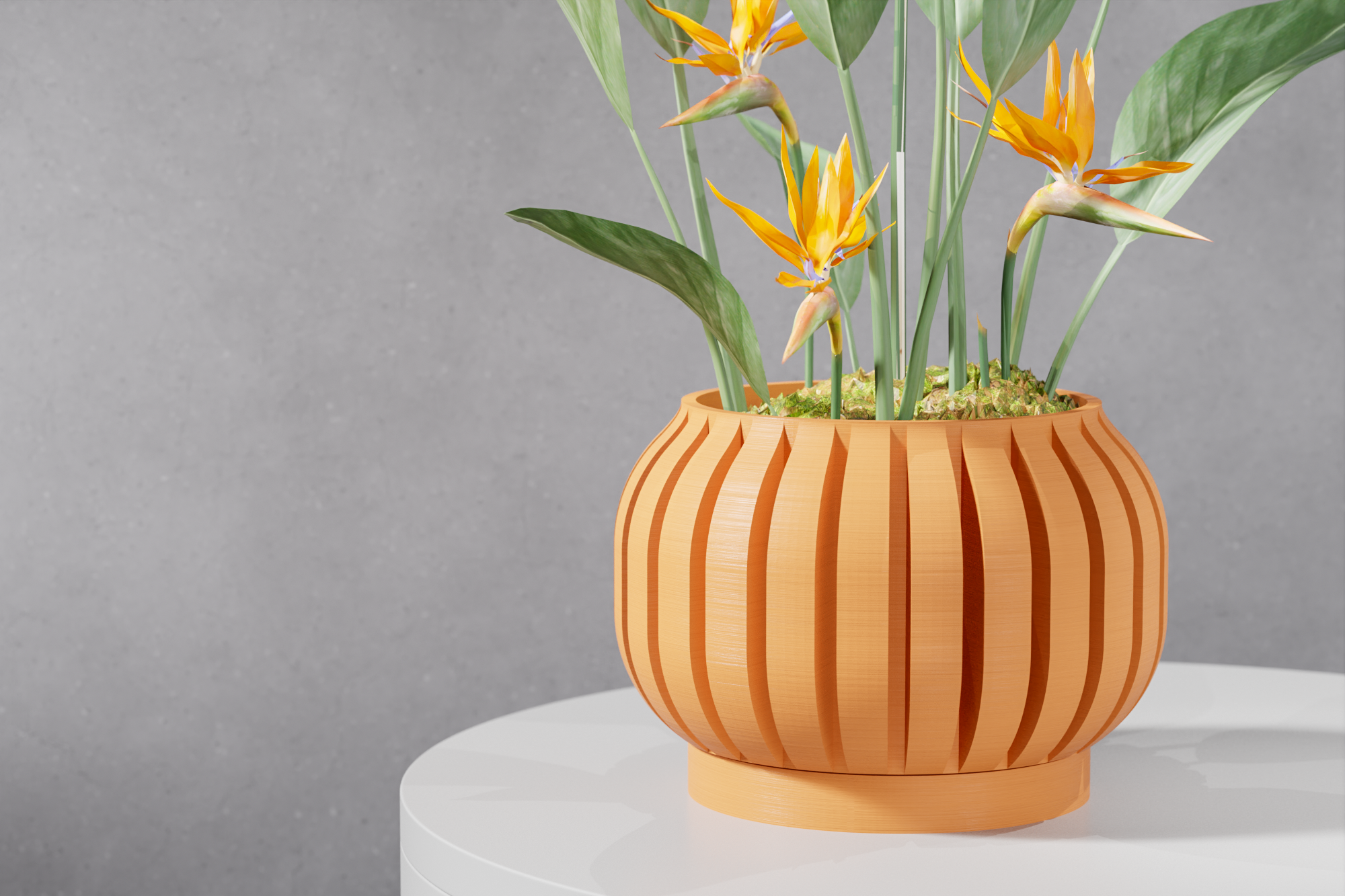 The Juse Planter