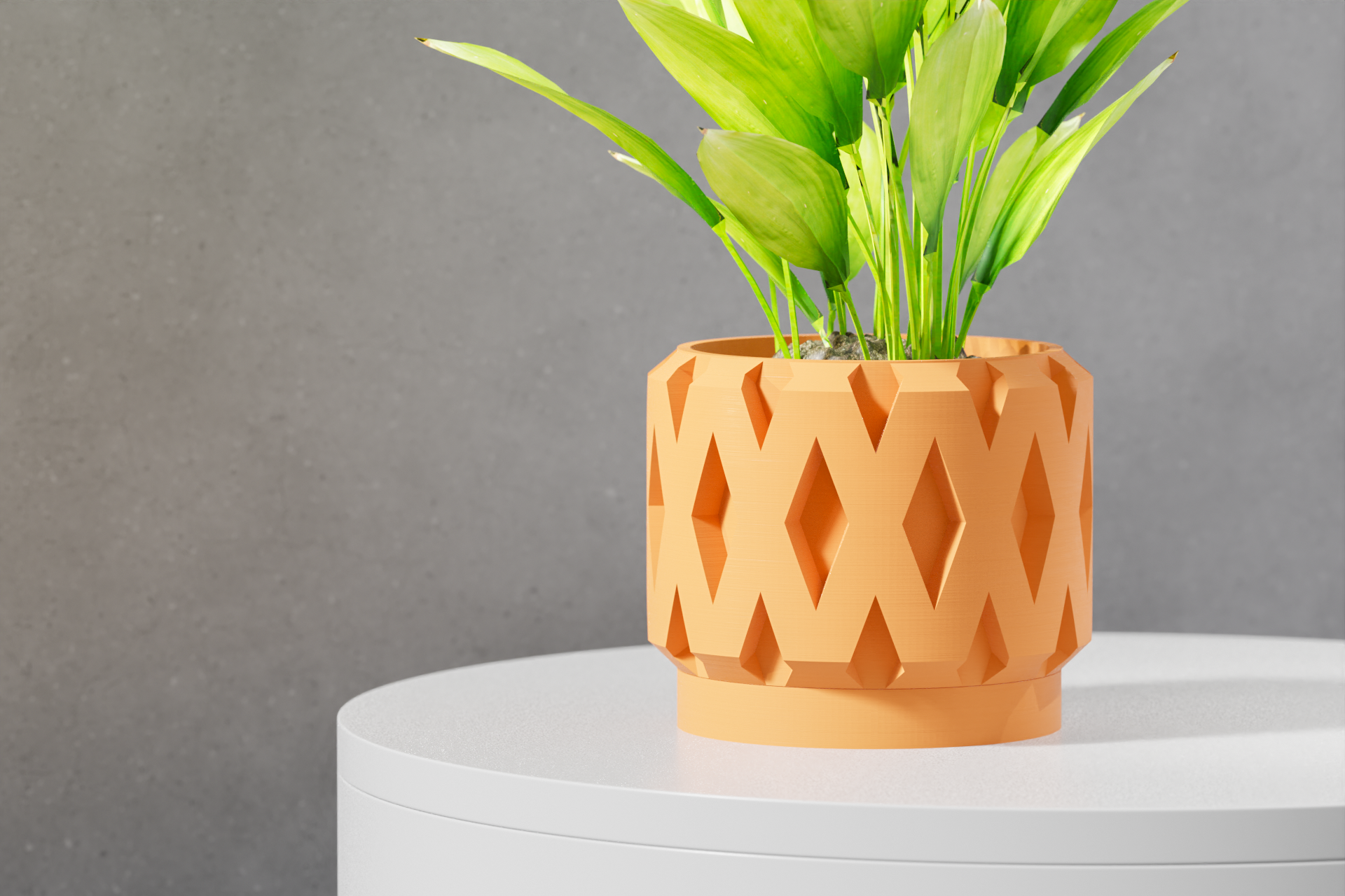 Le Rano Planter
