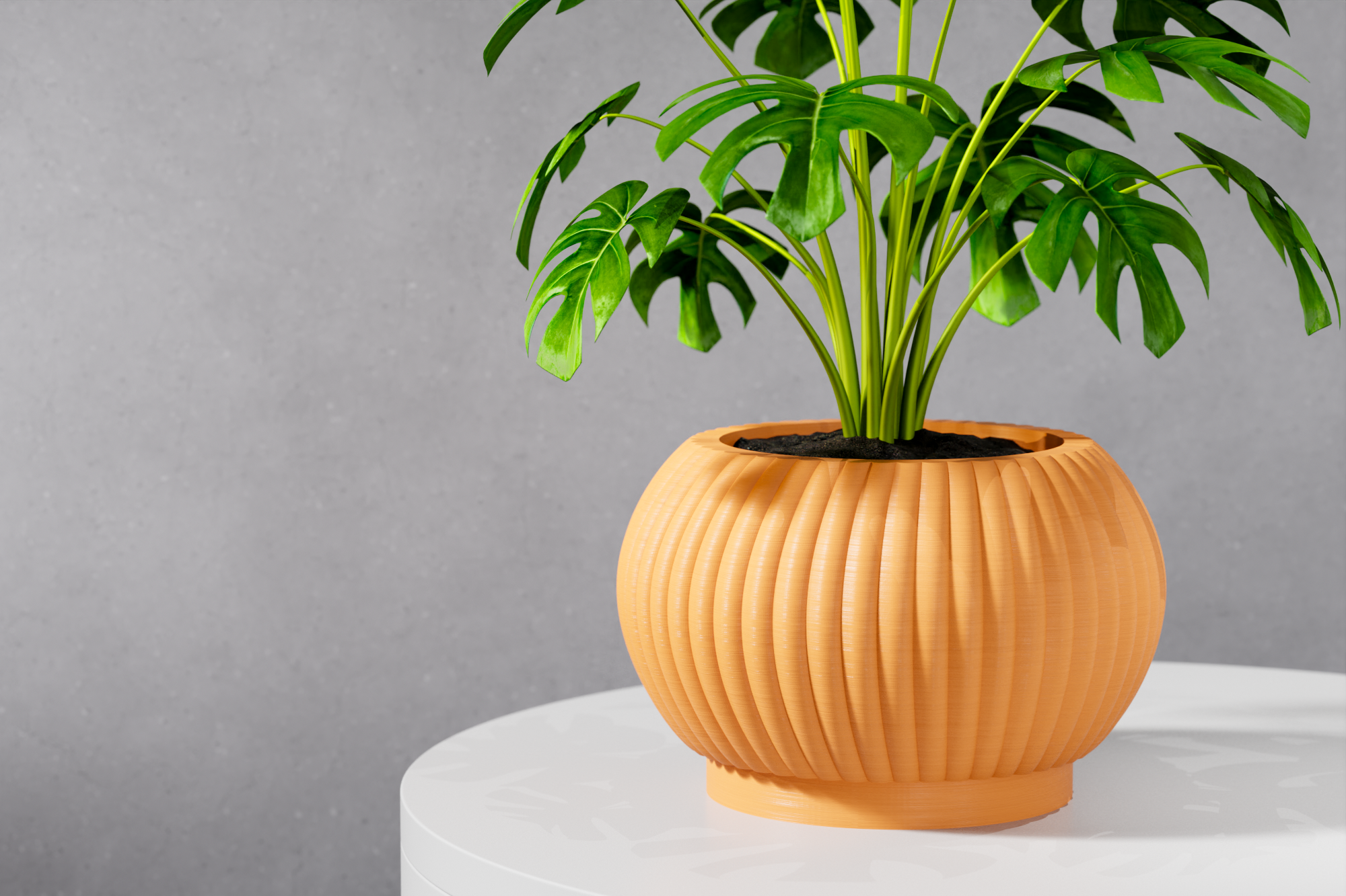 The Roni Planter