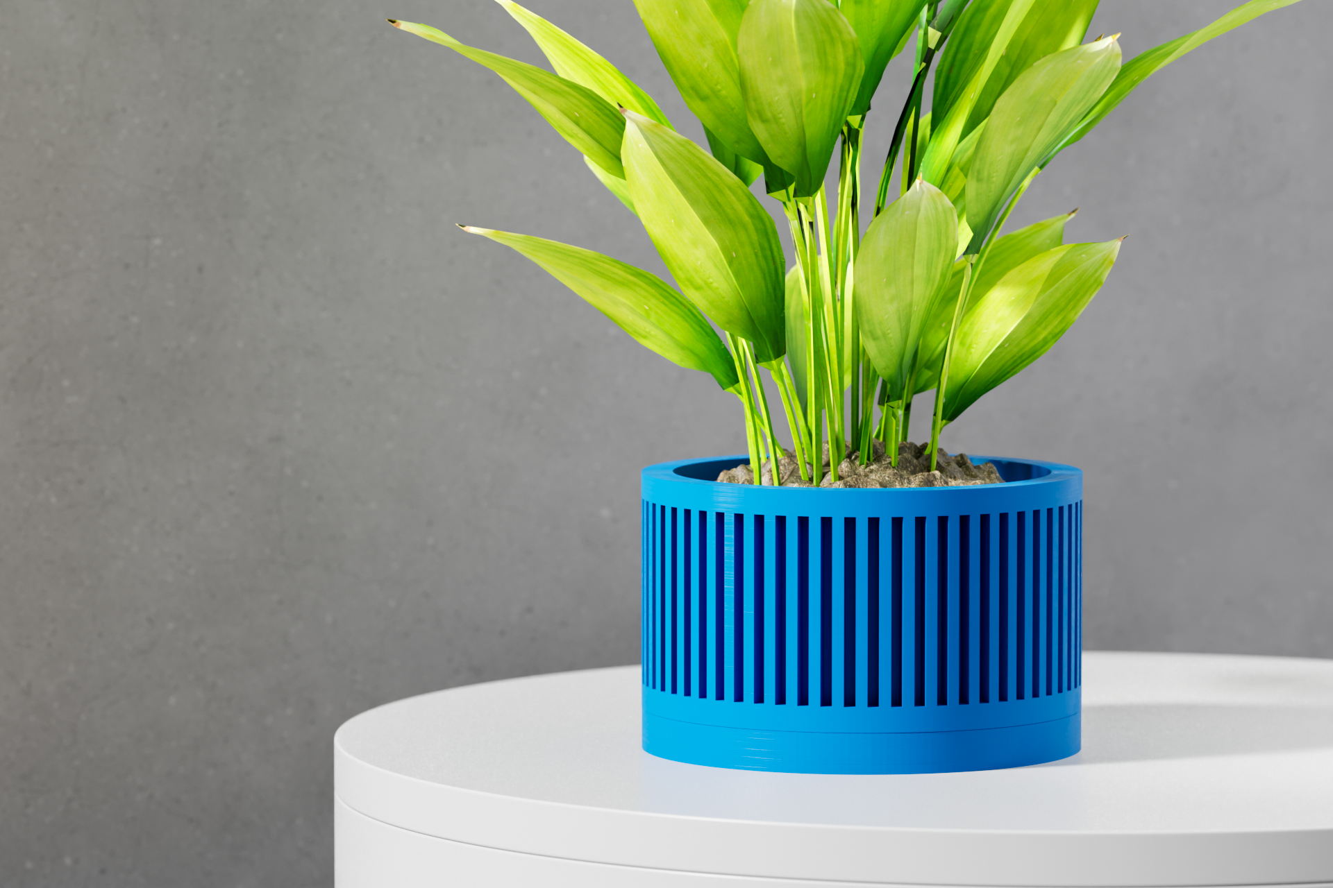 The Paxon Planter