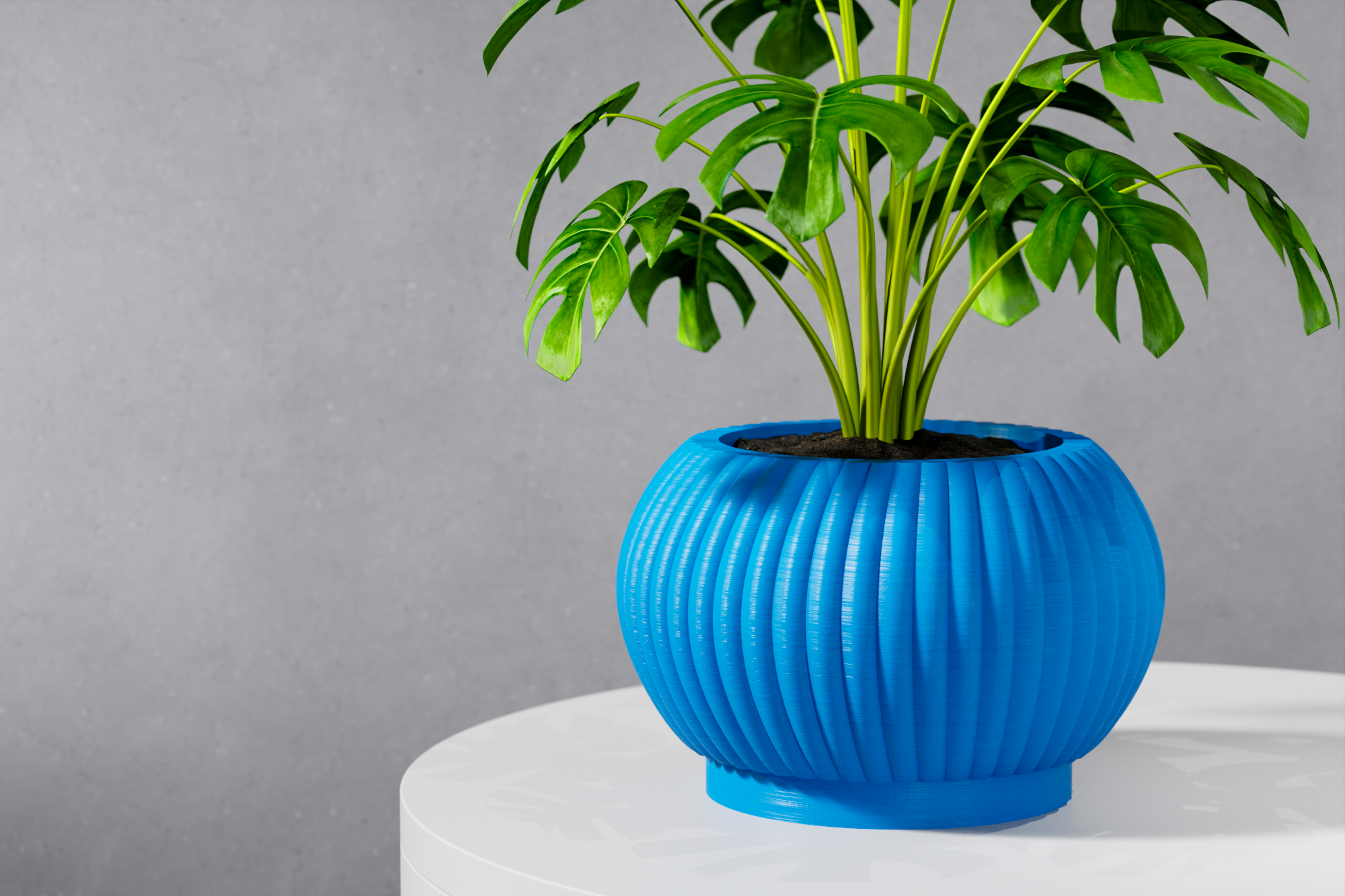 The Roni Planter