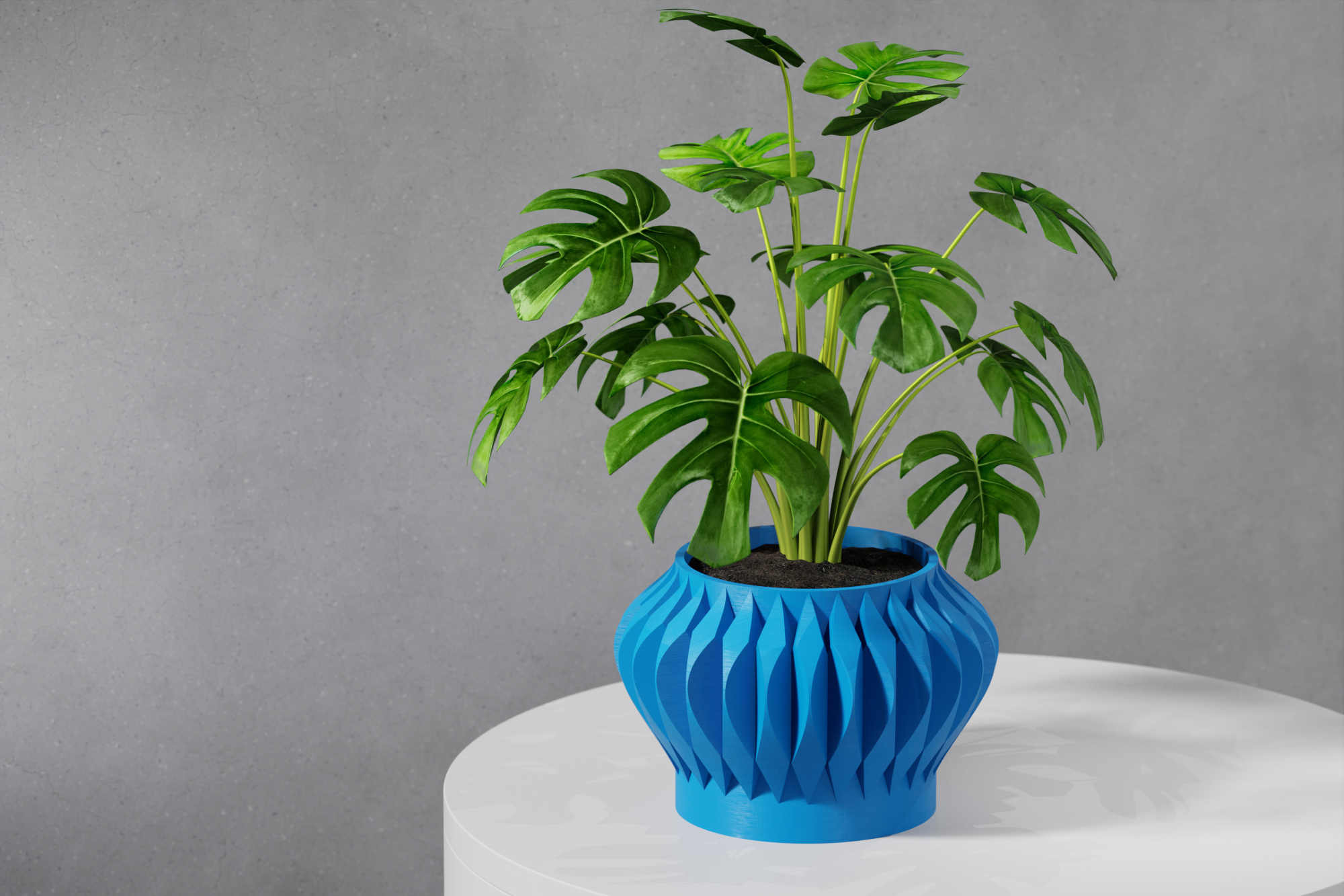 Le Sevi Planter