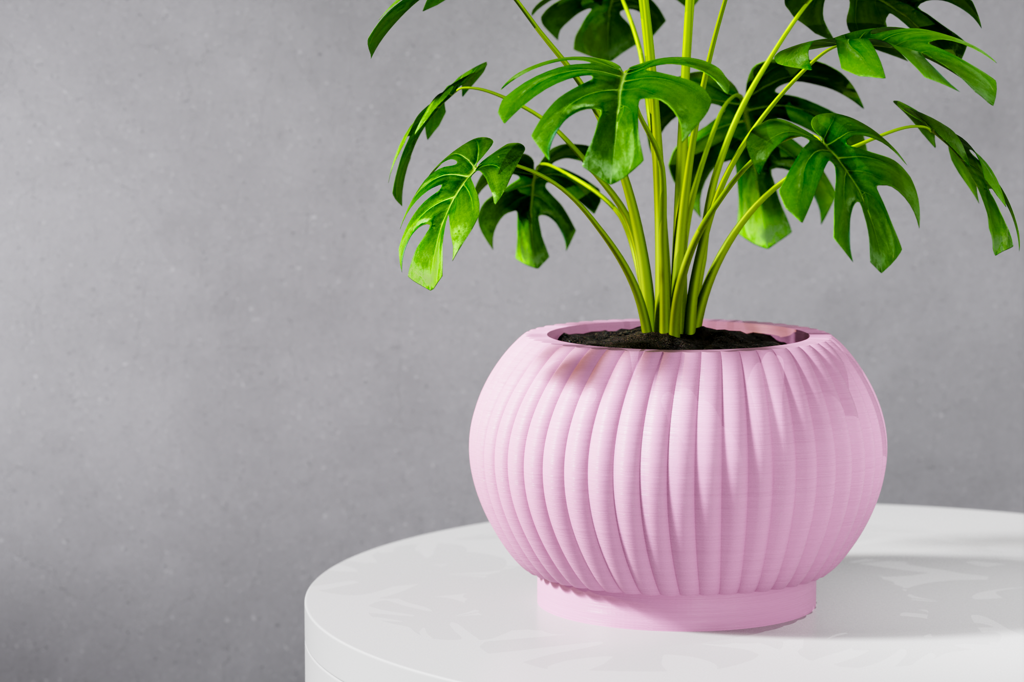 The Roni Planter