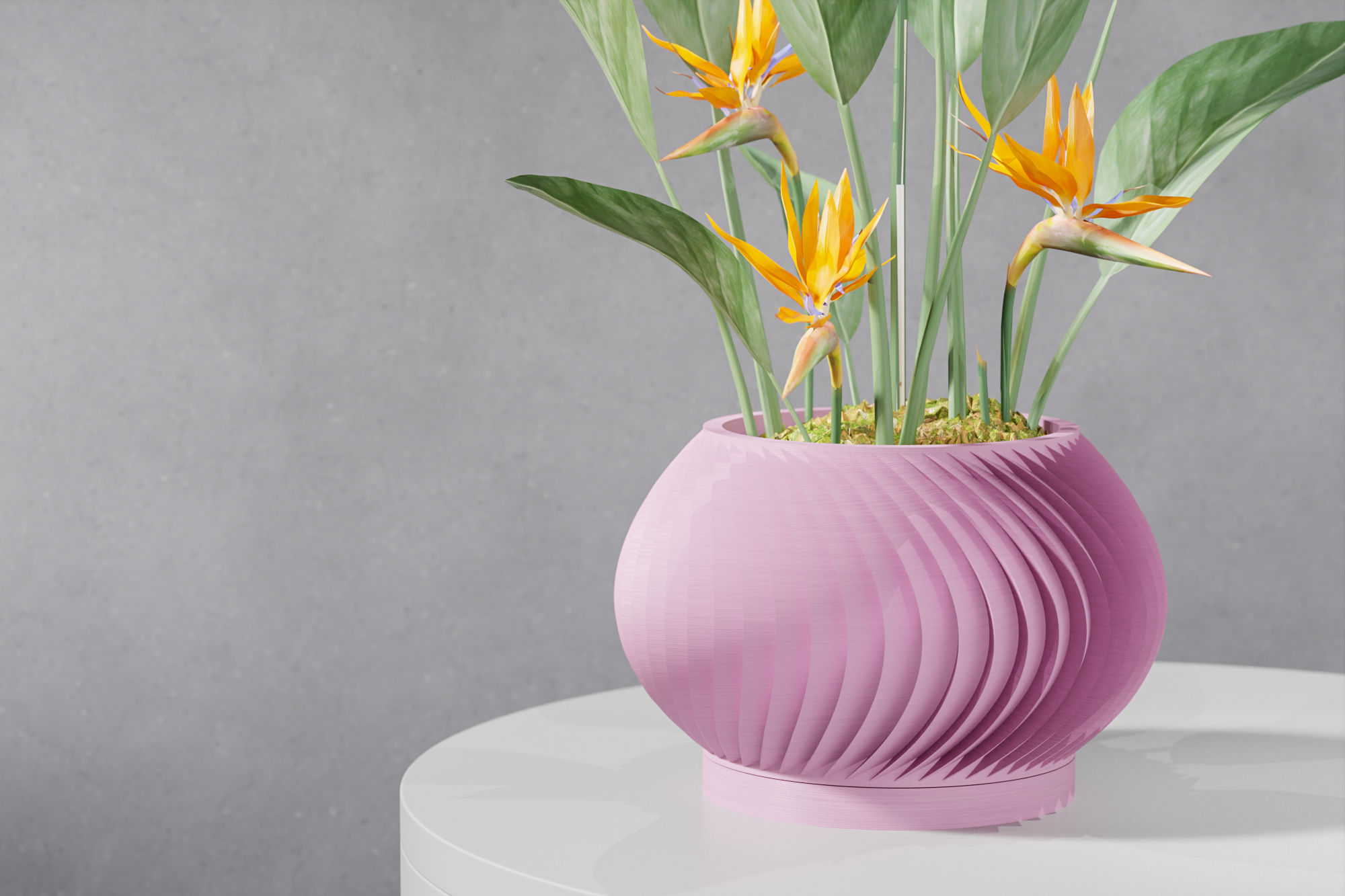 The Vati Planter