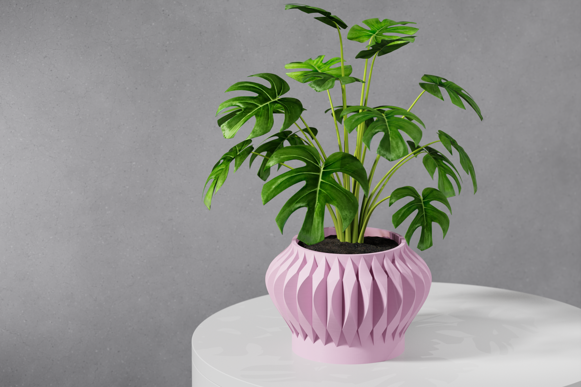 Le Sevi Planter