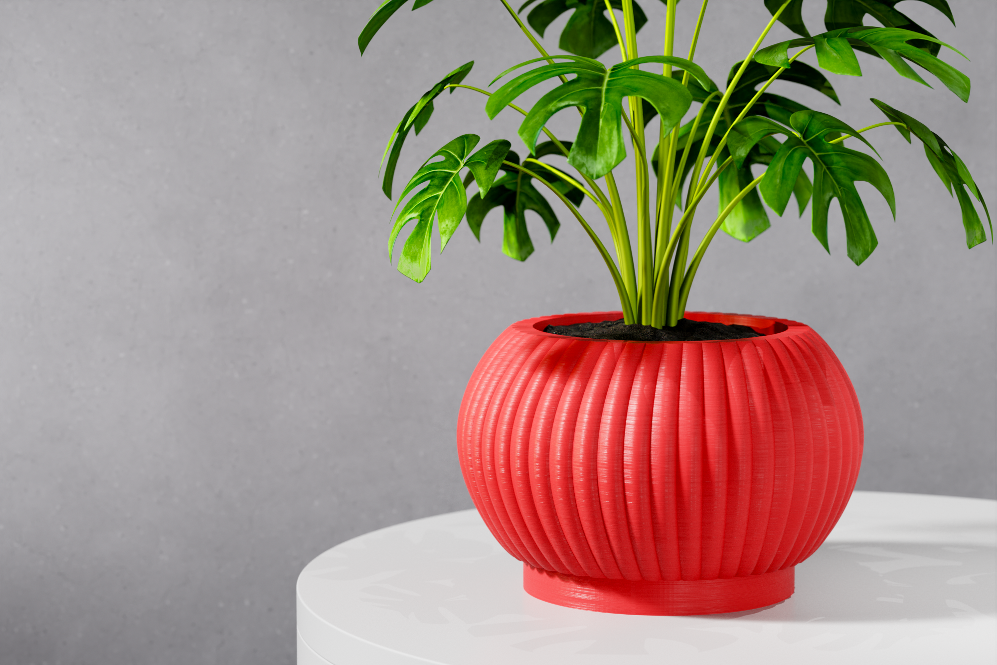 The Roni Planter