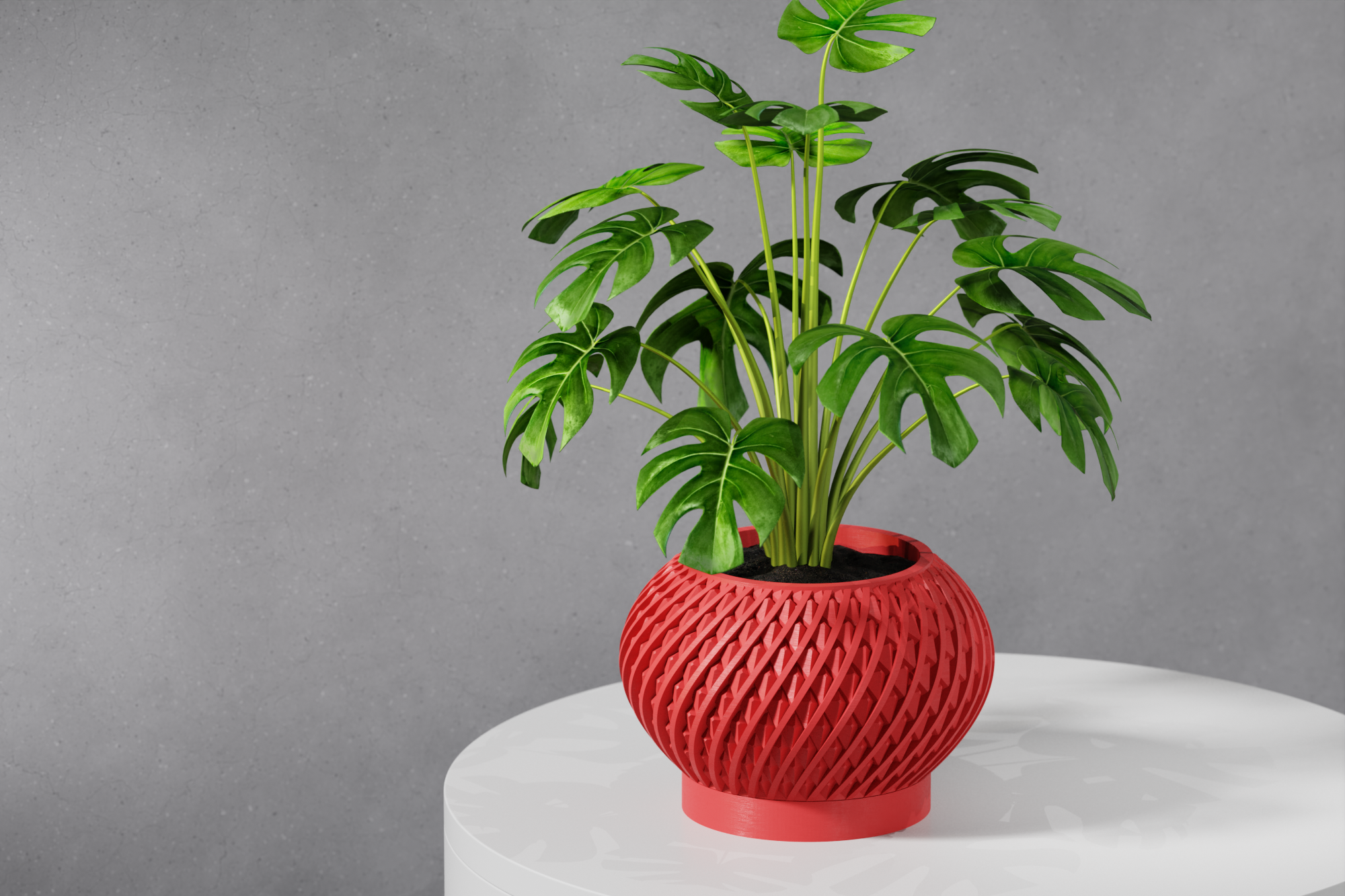 Le Kio Planter